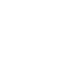 PulsePay